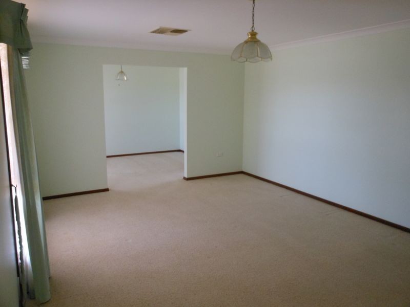 54 Back Creek Road, Young NSW 2594