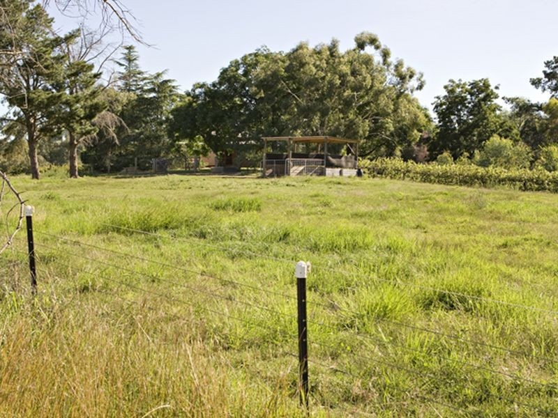 2 Purchas, Young NSW 2594