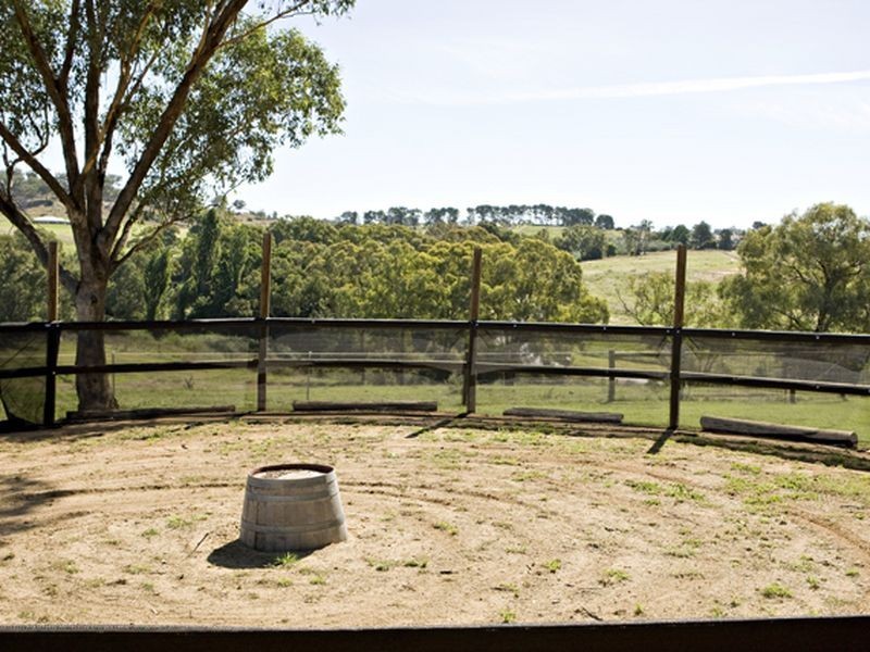 2 Purchas, Young NSW 2594