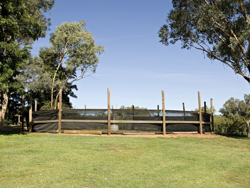 2 Purchas, Young NSW 2594