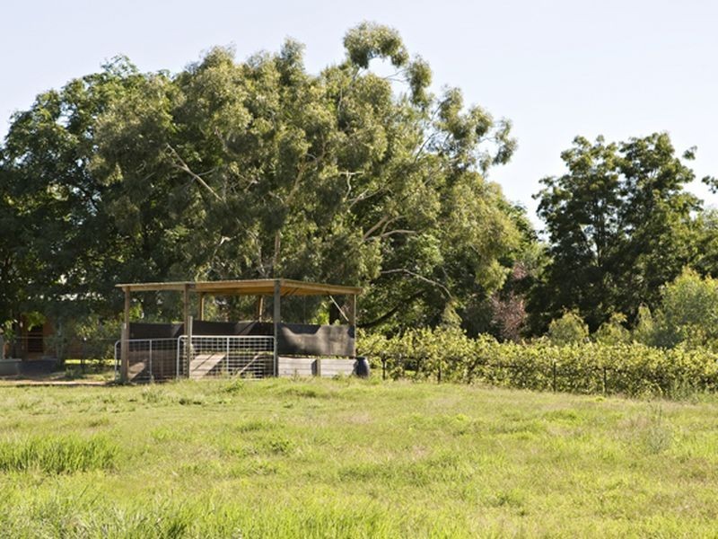 2 Purchas, Young NSW 2594