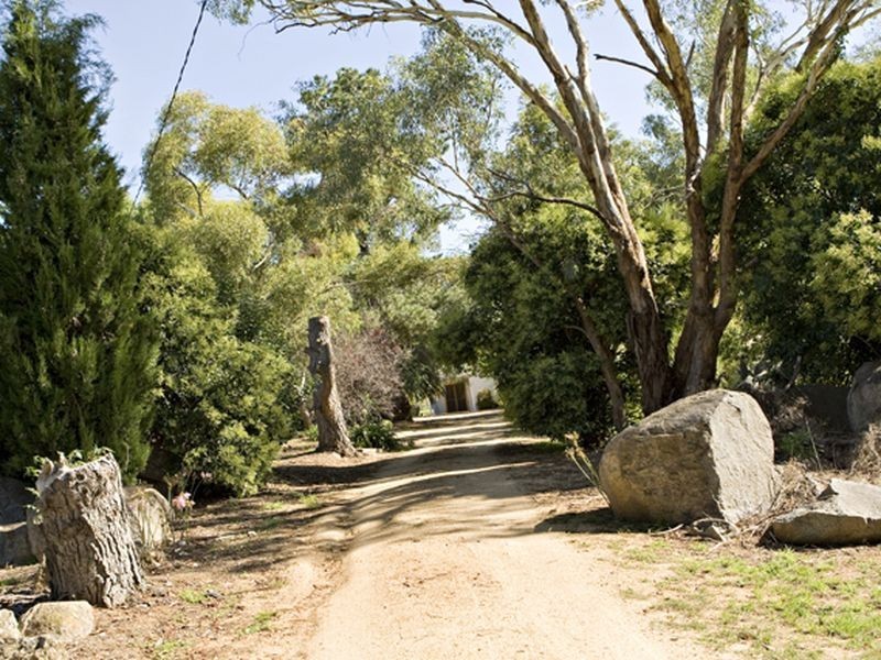 2 Purchas, Young NSW 2594