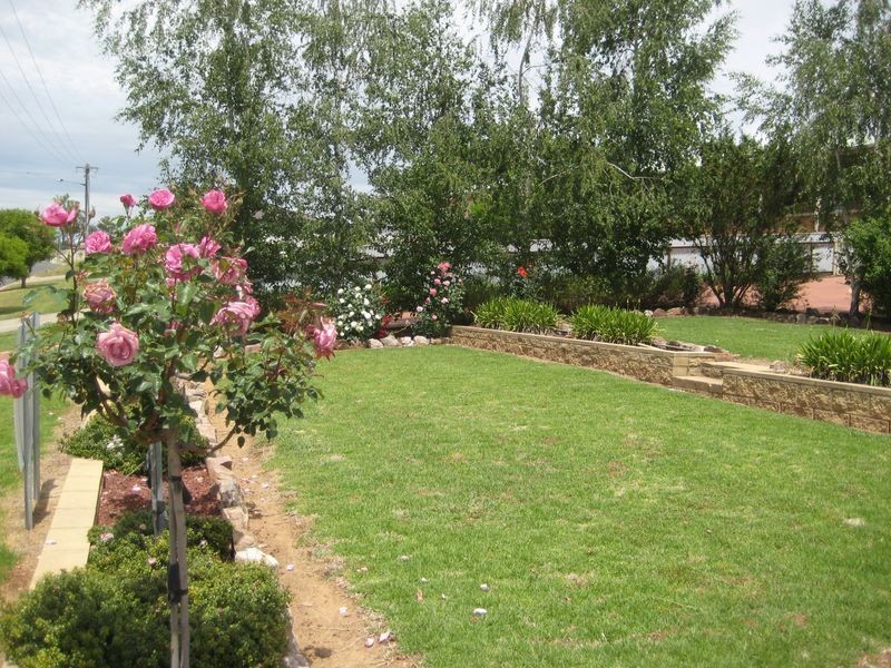 77 Binalong Street, Young NSW 2594