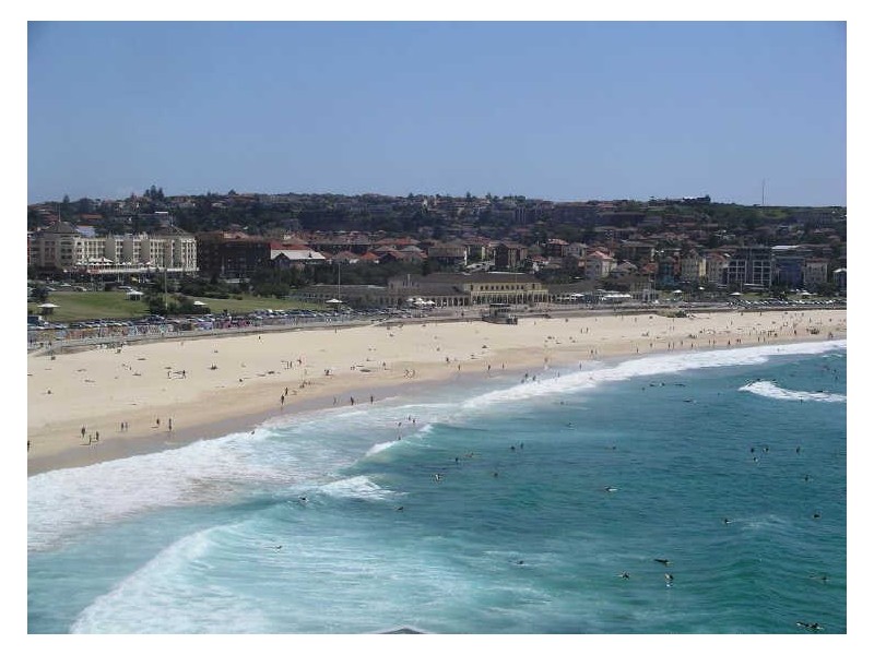 11/16 Notts Avenue, Bondi Beach NSW 2026