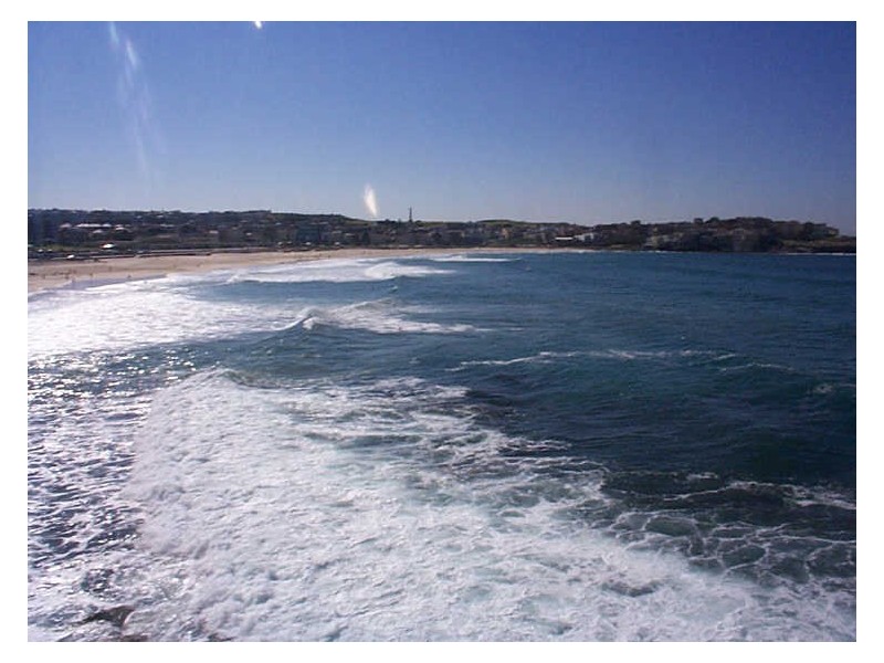 11/16 Notts Avenue, Bondi Beach NSW 2026