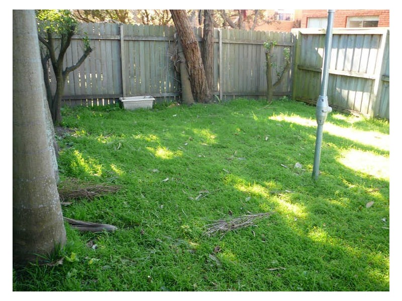 2/339 Clovelly Road, Clovelly NSW 2031