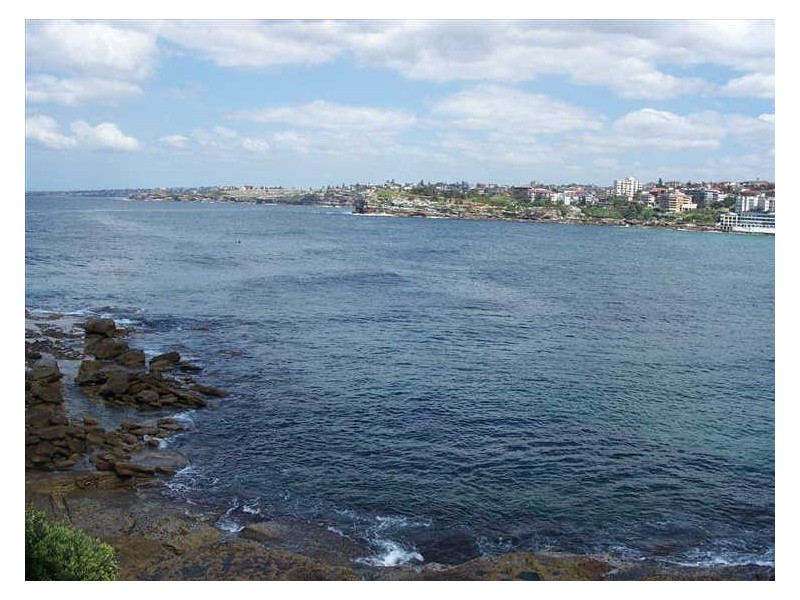 6/97 Ramsgate Avenue, Bondi Beach NSW 2026