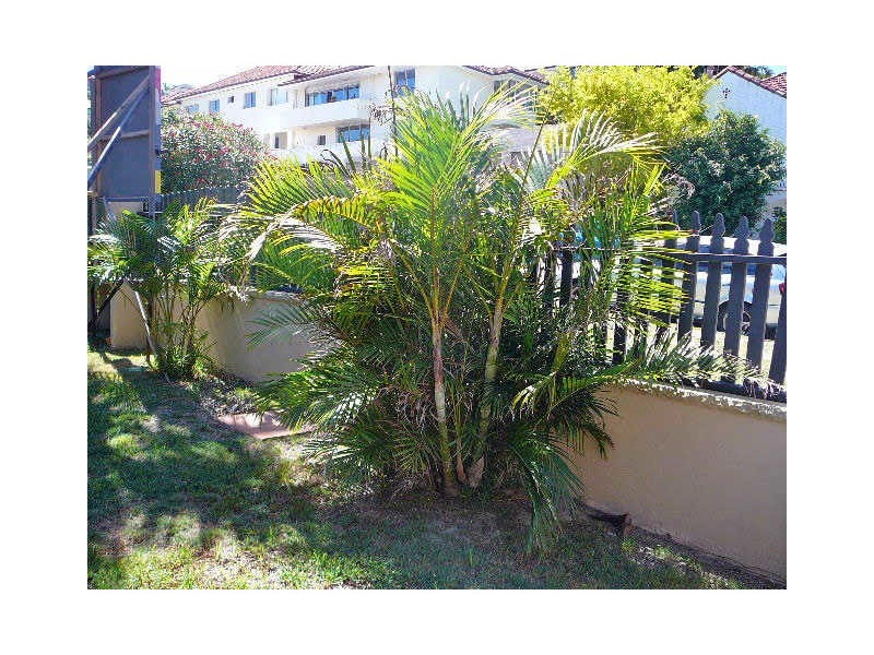 6 Hardy Street, North Bondi NSW 2026