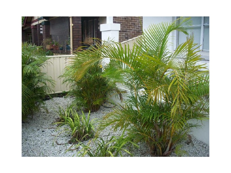 9 Plowman Street, Bondi Beach NSW 2026