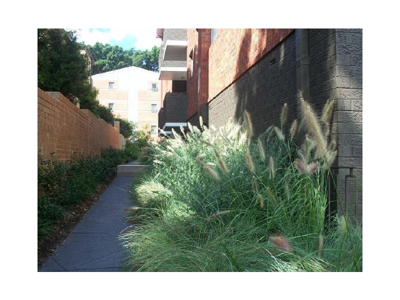 2/7 William Street, Randwick NSW 2031