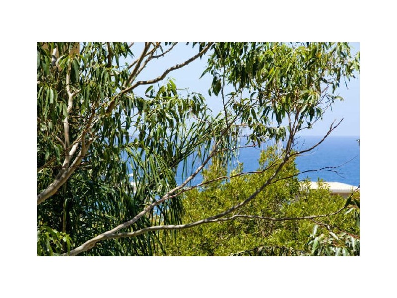 21 Francis Street, Bondi Beach NSW 2026