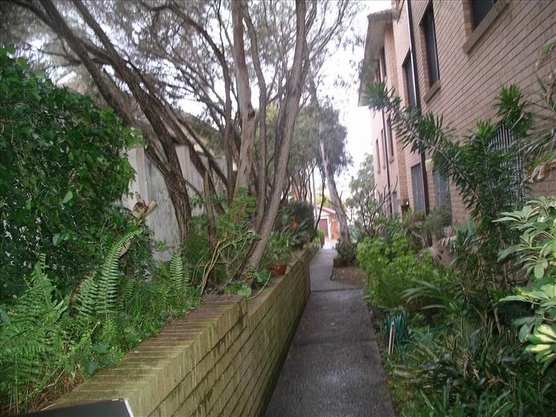 3/64 Boronia Street, Kensington NSW 2033