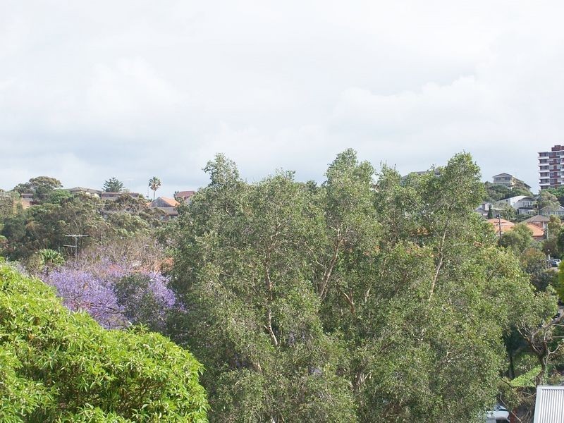 8/16 Murray Street, Bronte NSW 2024