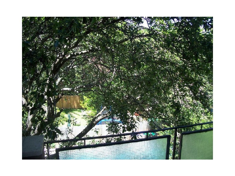 8/4 Pine Street, Randwick NSW 2031