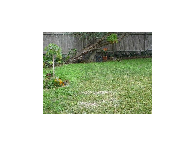 4/155 Glenayr Avenue, Bondi Beach NSW 2026