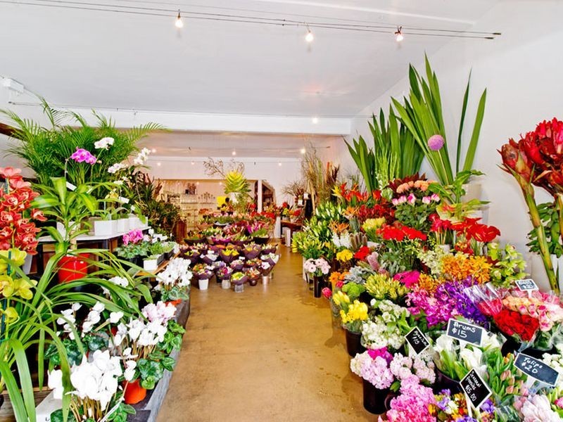 133 Bondi Road, Bondi NSW 2026