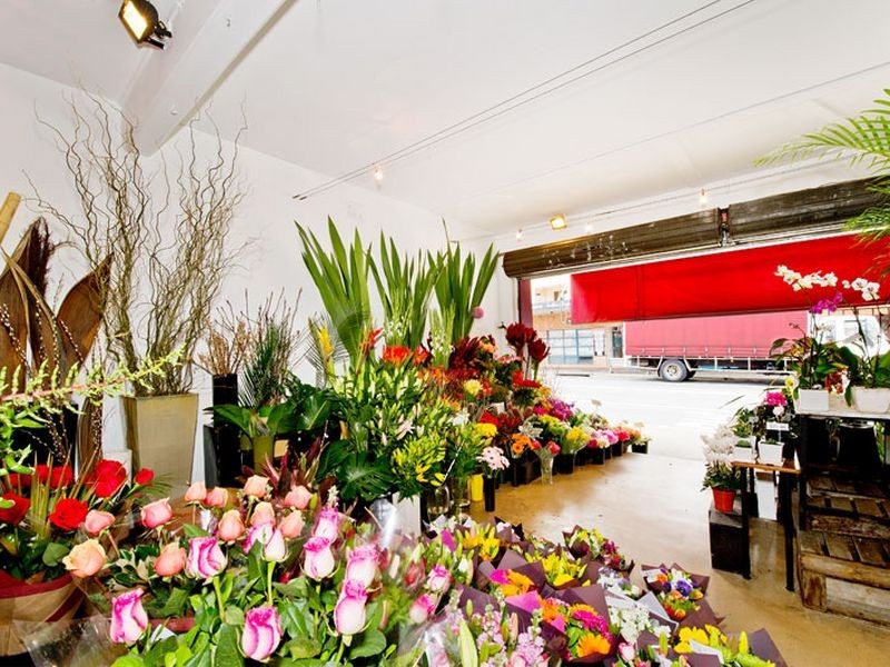 133 Bondi Road, Bondi NSW 2026