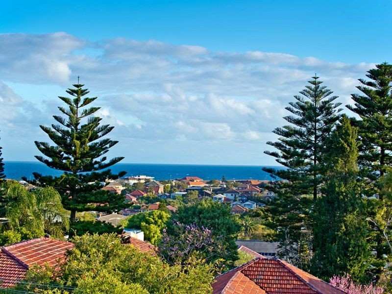 12 Macleay Street, North Bondi NSW 2026