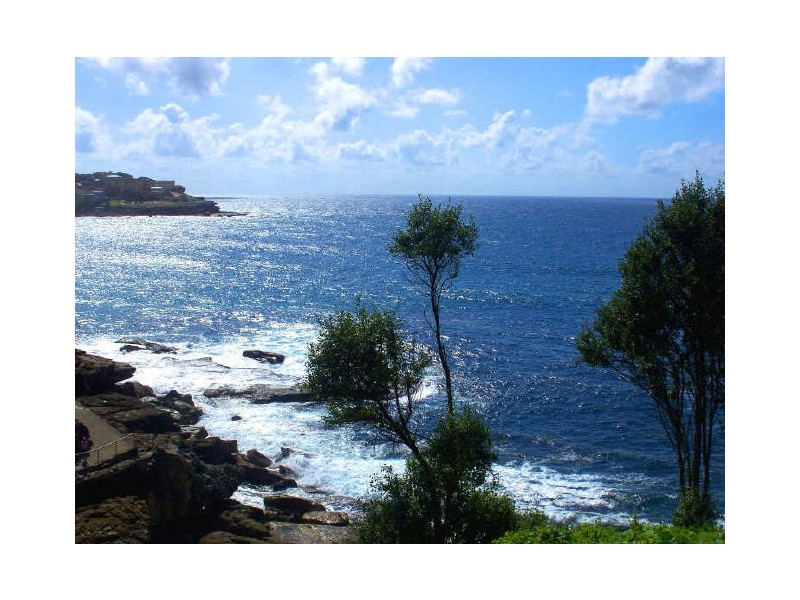 1/17 Wilga Street, Bondi Beach NSW 2026