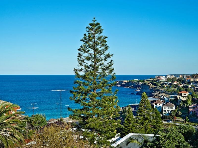 29 Fletcher Street, Tamarama NSW 2026