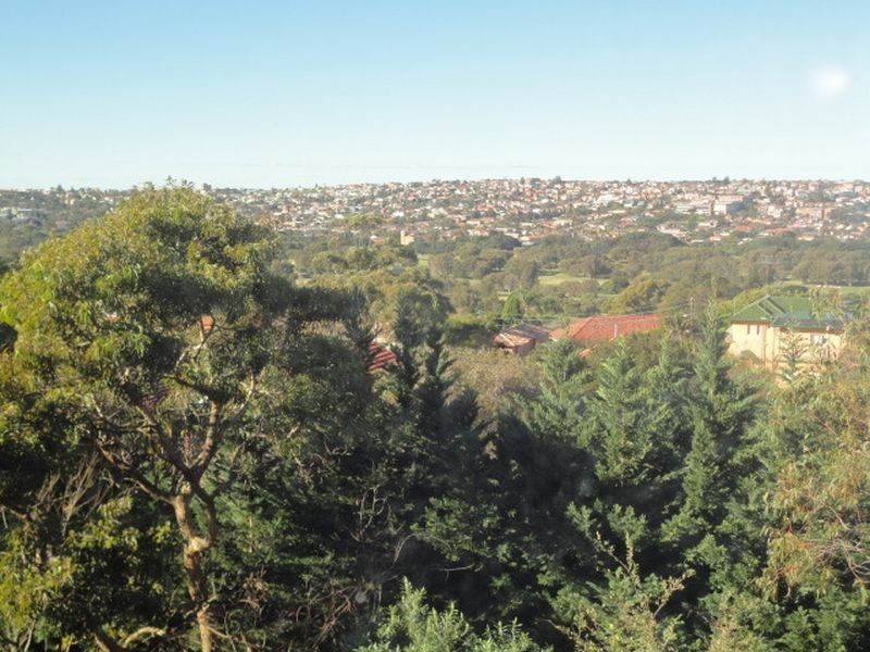 3/91 Drumalbyn Road, Bellevue Hill NSW 2023