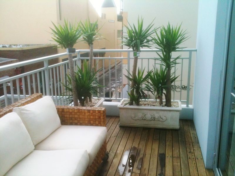 3/142 Campbell Parade, Bondi Beach NSW 2026