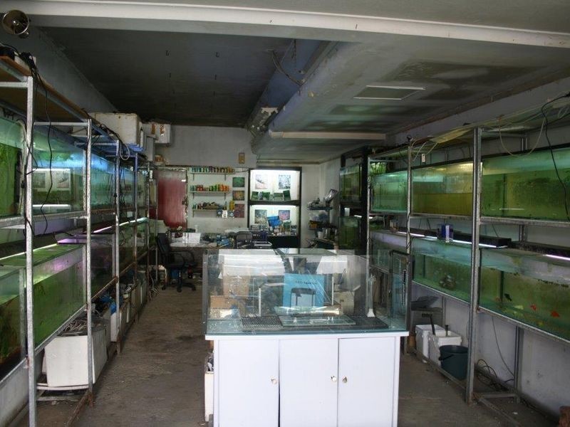 Shop/2/177-179 Glenayr Avenue, Bondi Beach NSW 2026