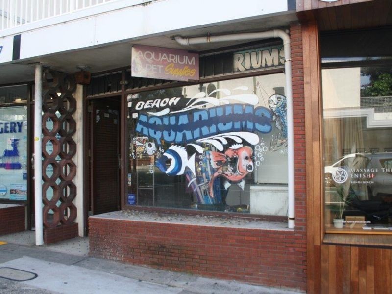 Shop/2/177-179 Glenayr Avenue, Bondi Beach NSW 2026