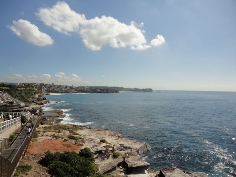 1/145 Boundary Street, Clovelly NSW 2031