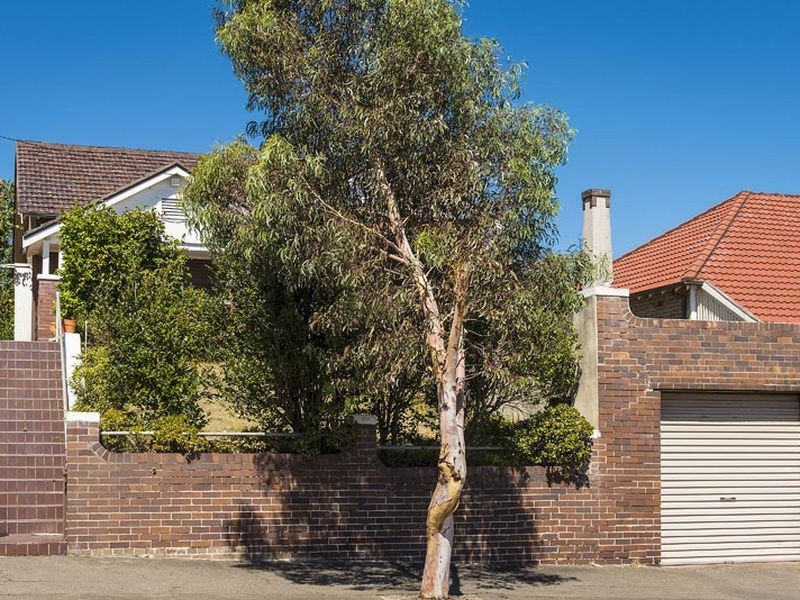 363 Arden Street, South Coogee NSW 2034