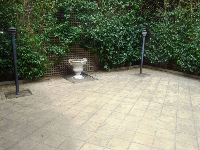 20 Oakley Road, North Bondi NSW 2026