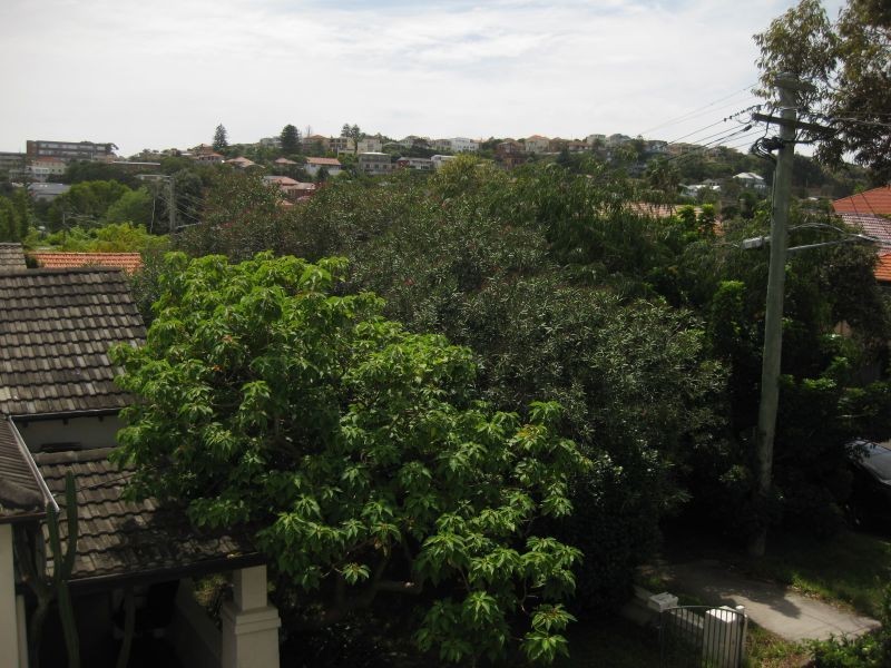 7/41 Glenayr Avenue, Bondi Beach NSW 2026