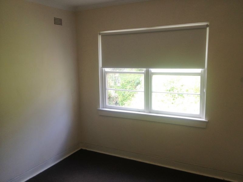 5/5 Palmerston Avenue, Bronte NSW 2024
