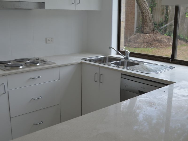 1/51 Chaleyer Street, Rose Bay NSW 2029