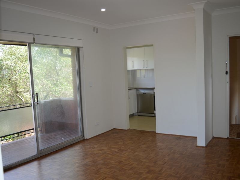 11/4 Pine Steet, Randwick NSW 2031