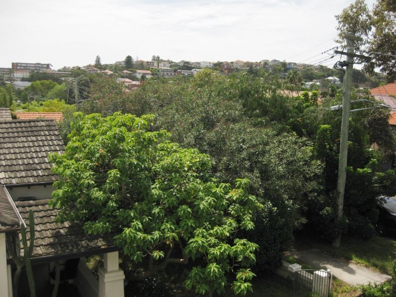 7/41 Glenayr Avenue, Bondi NSW 2026