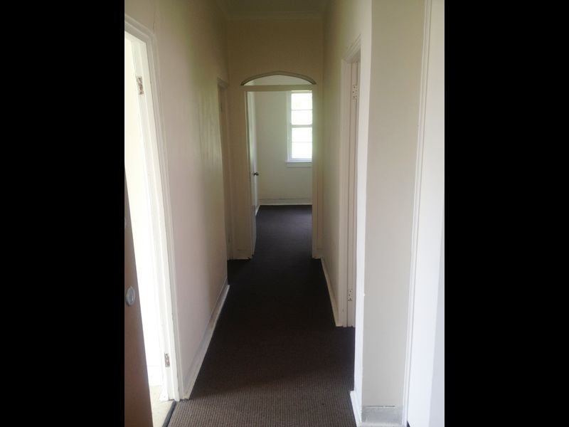 5/5 Palmerston Avenue, Waverley NSW 2024