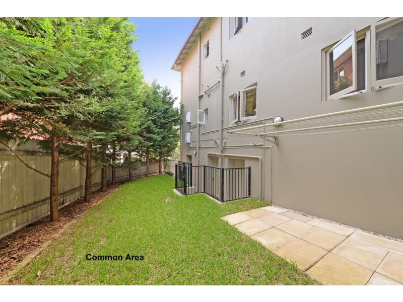3/3 Frances Street, Randwick NSW 2031