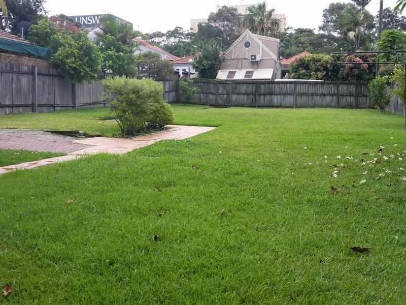 119 Barker Street, Randwick NSW 2031