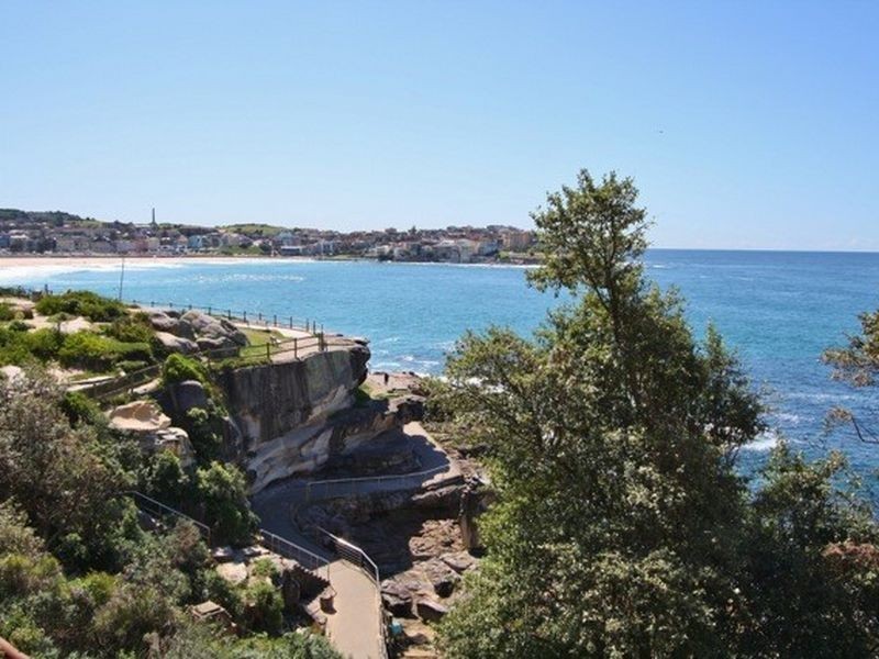 6/14 Wilga Street, Bondi NSW 2026