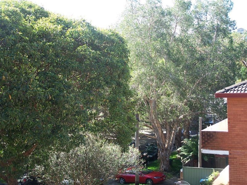 6/16 Murray Street, Bronte NSW 2024