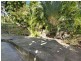 11A Jesmond Avenue, Vaucluse NSW 2030
