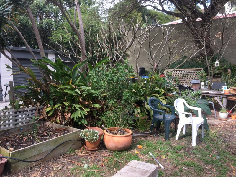 1/10 SIMPSON STREET, Bondi NSW 2026