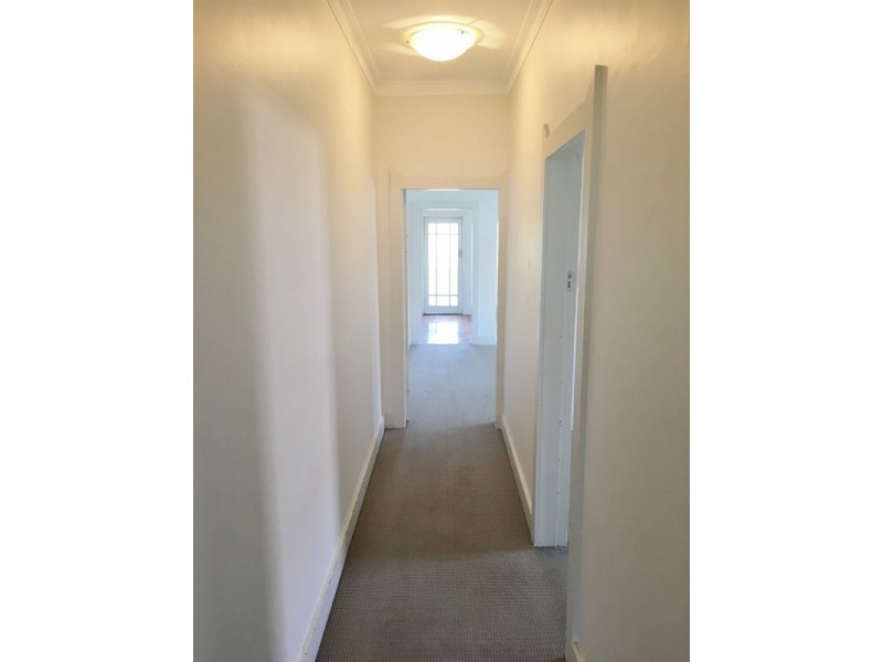 3/51 Mitchell Street, Bondi Beach NSW 2026