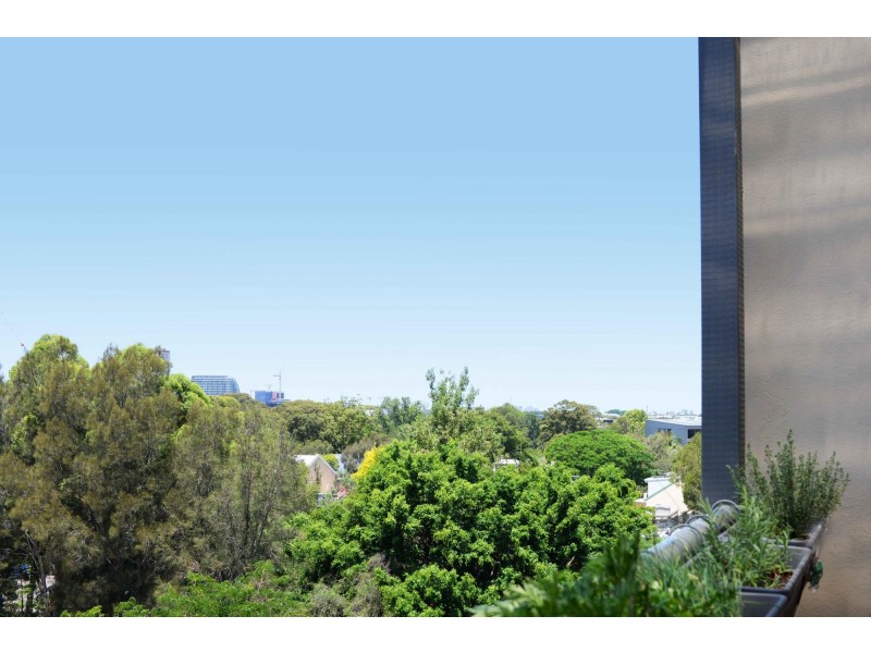 60/49 Henderson Road, Eveleigh NSW 2015