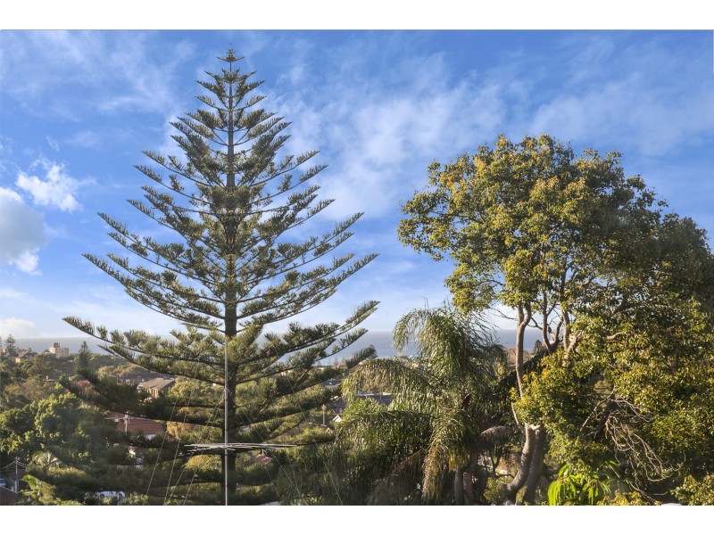 6/10 Pitt Street, Randwick NSW 2031