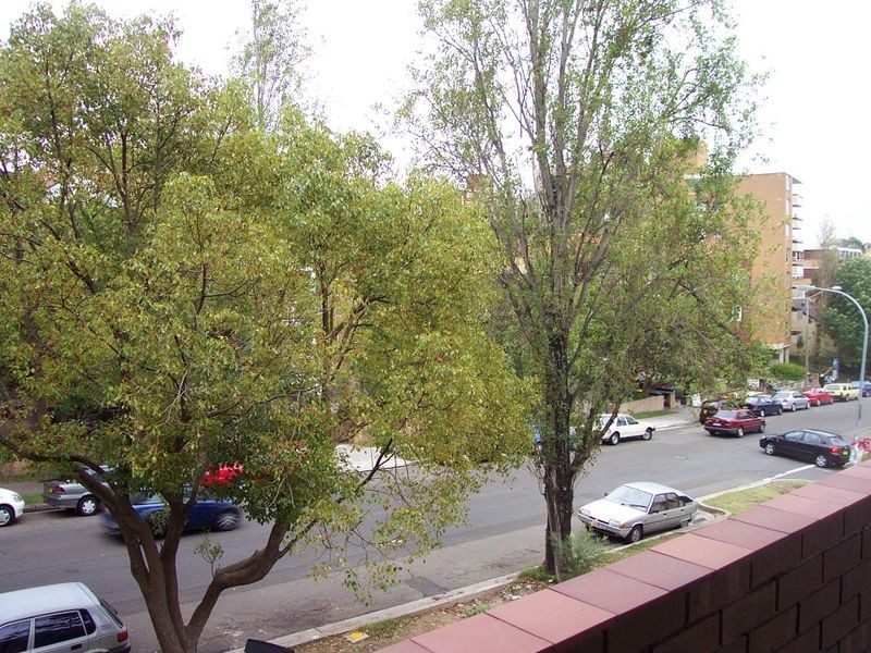 3/20 Penkivil Street, Bondi NSW 2026