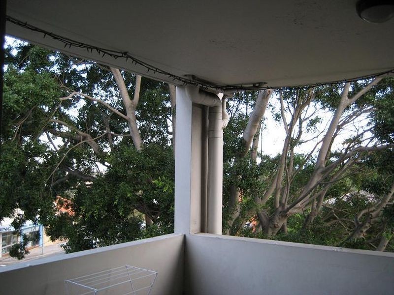 6/230 Old South Head Road, Bellevue Hill NSW 2023