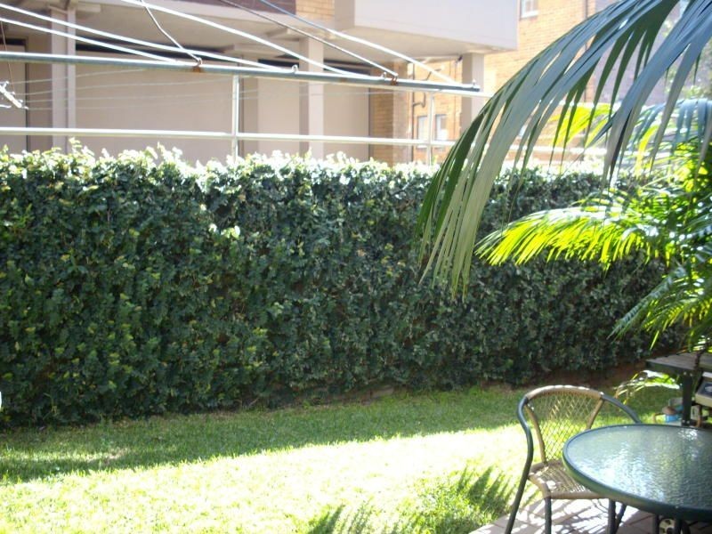 2/74 Dolphin Street, Coogee NSW 2034