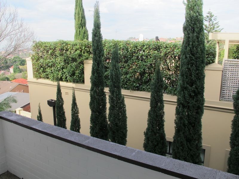 4/3 Pitt Street, Randwick NSW 2031